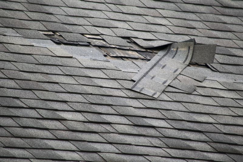 Damaged Asphalt Shingles